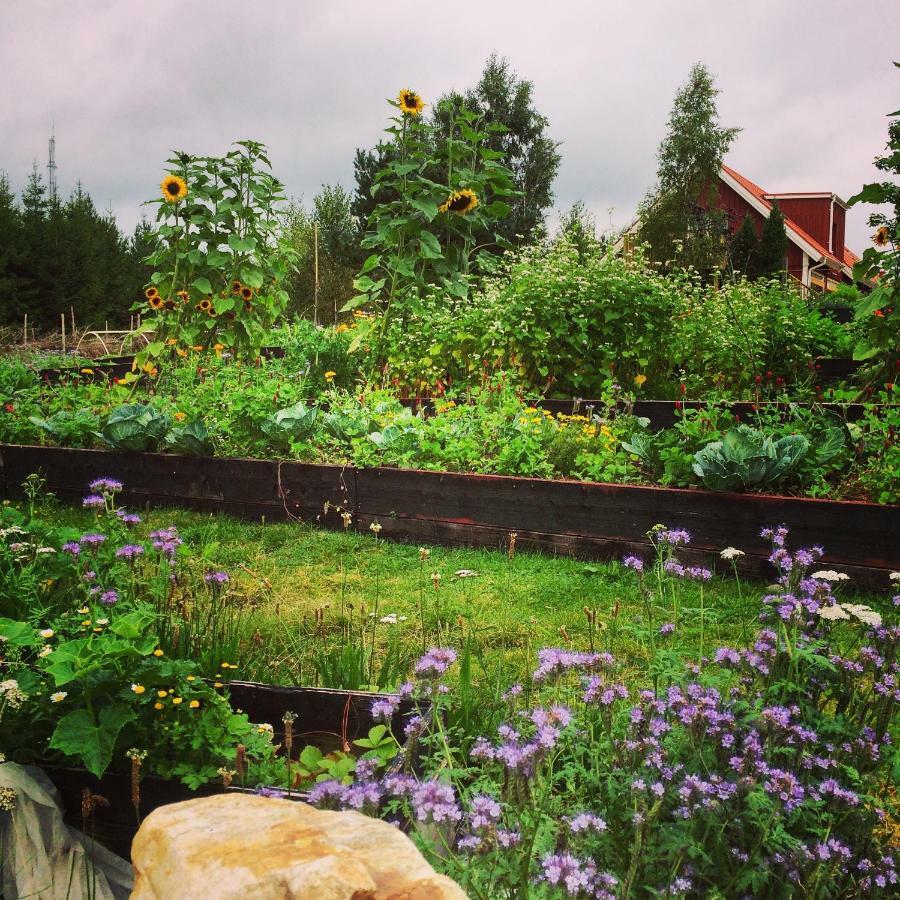 Escape To Paulssonpaleo Bed & Breakfast Simlångsdalen Exterior photo